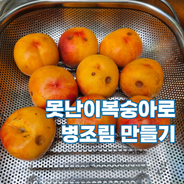 복숭아병조림 사진