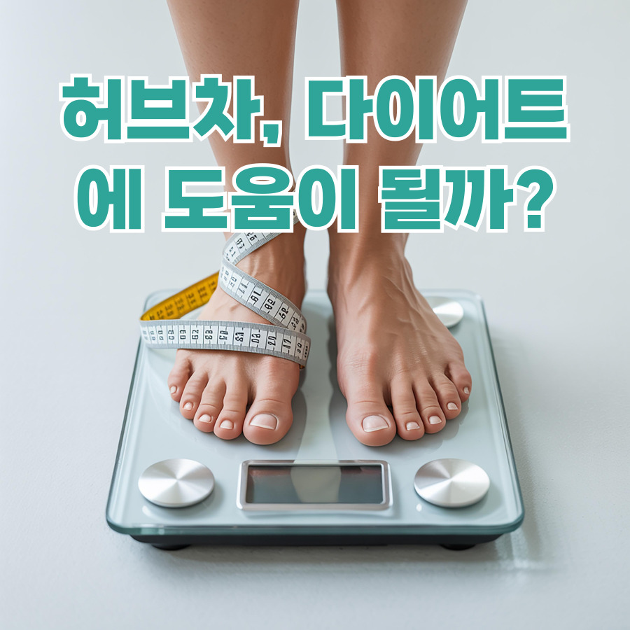 허브차와 다이어트