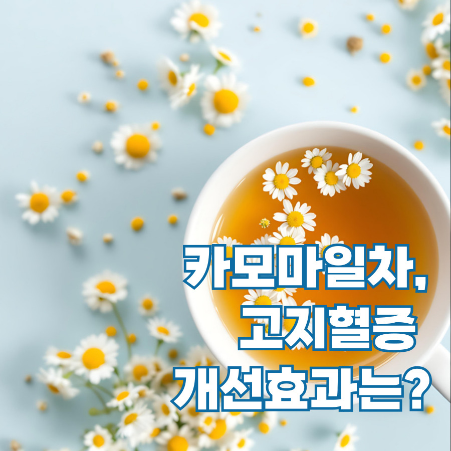 캐모마일차와 고지혈증 관계