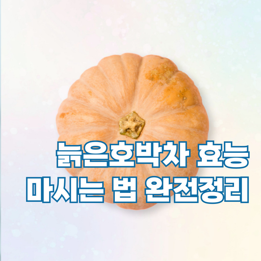 늙은호박차 사진